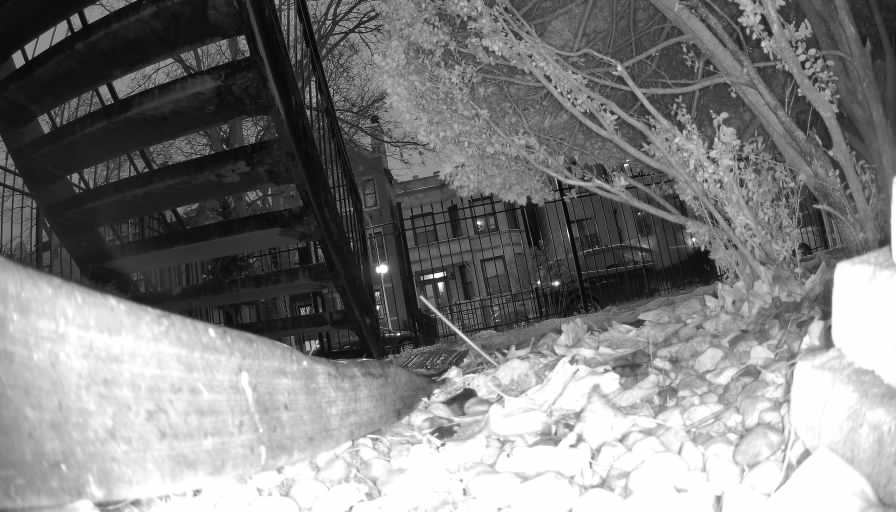 Reolink Camera Two_01_Reolink Home Hub One_20250111170513.jpg